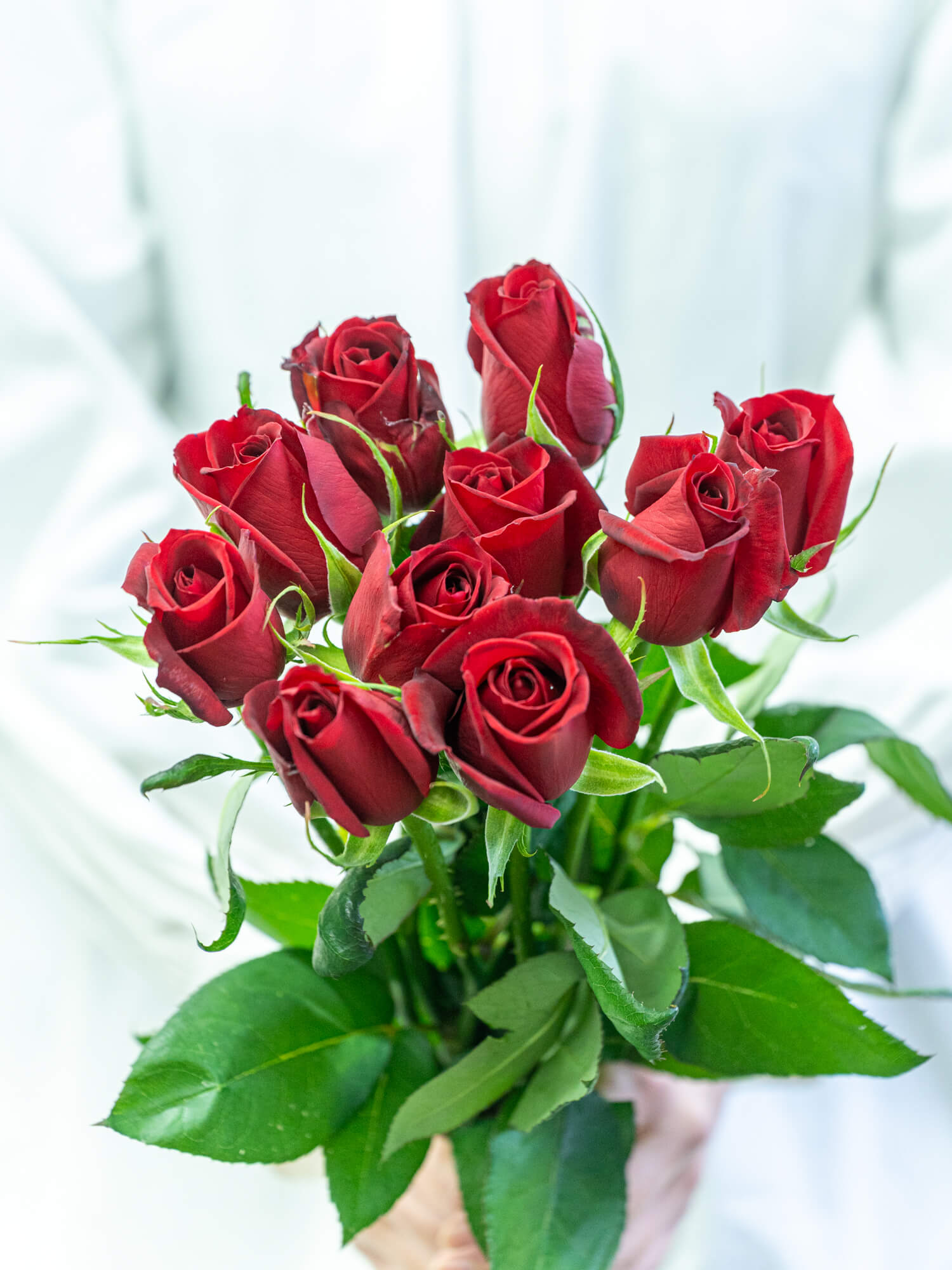 バラ（赤）サムライ08｜花の仕入れを簡単に。花材の卸通販｜ハナイチ