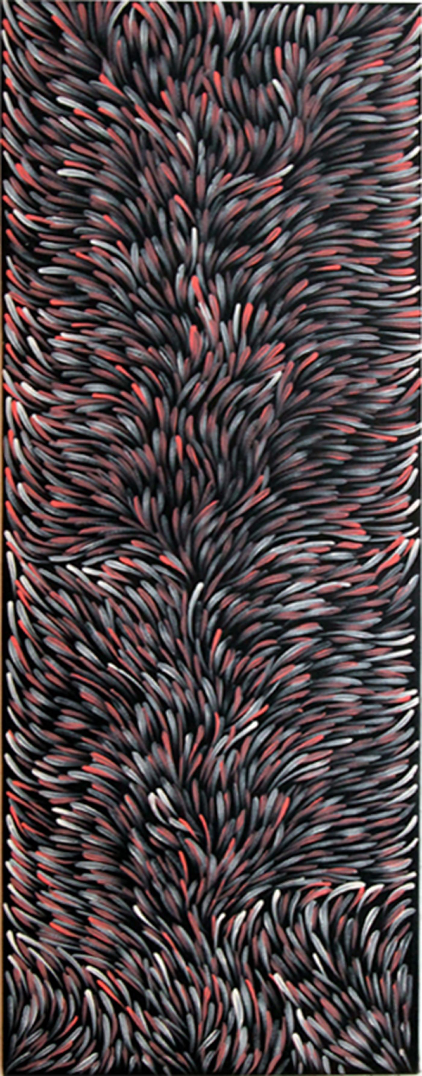 Gloria-Petyarre-Medicine-