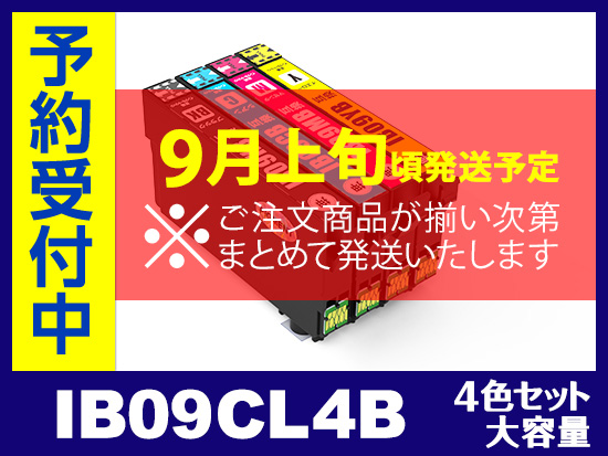 IB09CL4B (顔料4色セット 大容量） エプソン[Epson]互換インク