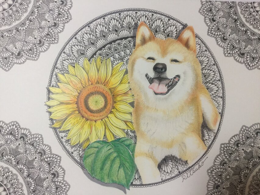 原画 肉筆 一点もの ボールペンアート 柴犬 犬 百貨店作家 人気