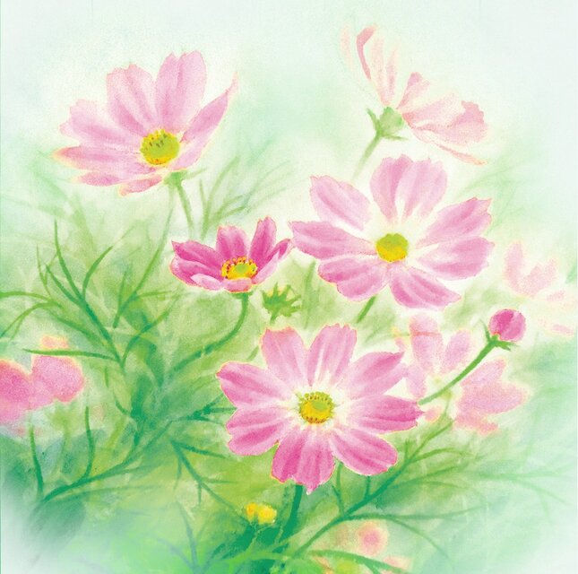 水彩画一筆箋103「コスモス」25枚 | iichi 日々の暮らしを心地よく