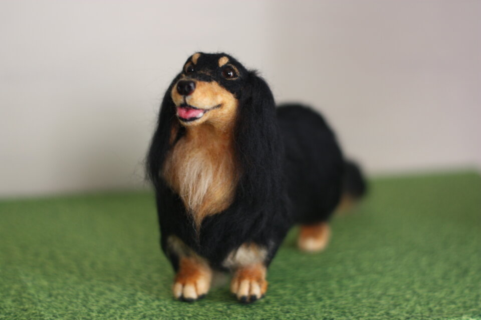 ロングコート ダックス ブラタン 。。。 羊毛フェルト | iichi 日々の