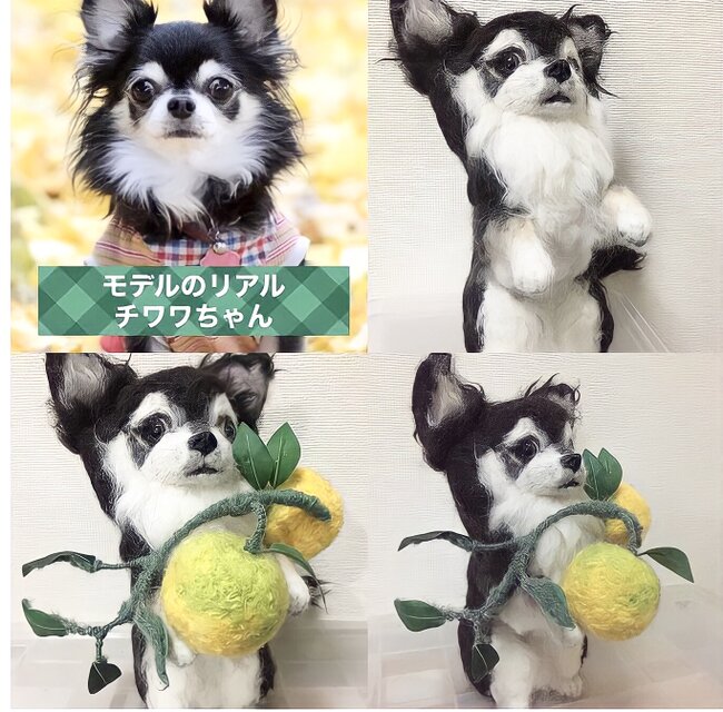 受注制作☆羊毛フェルトのチワワ | iichi 日々の暮らしを心地よくする