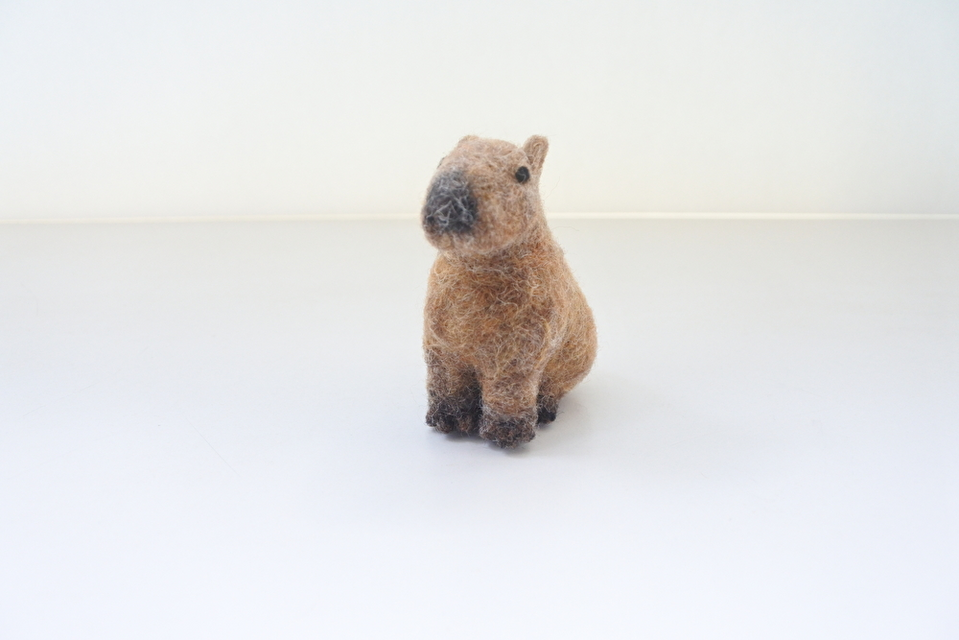 カピバラ子 0728ー0801 カピバラ子 0728ー0801 カピバラ子 0728ー0801