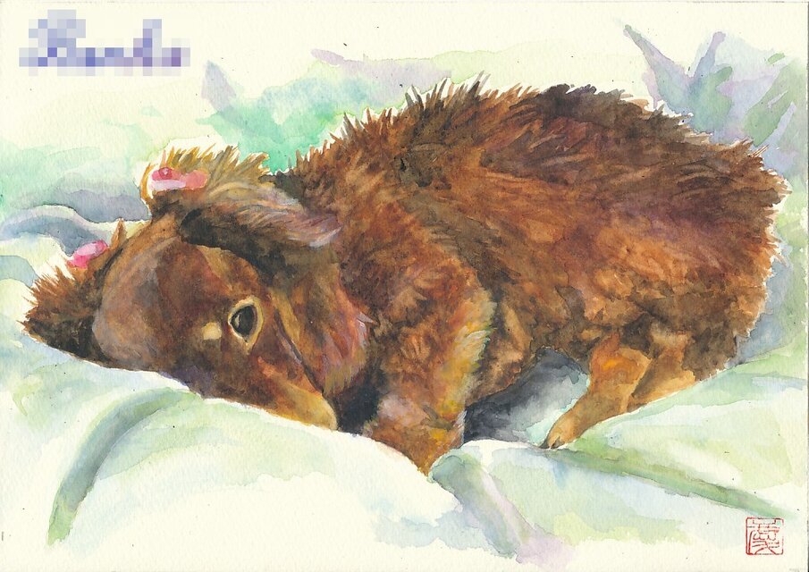 ペットの肖像画 水彩画 | iichi 日々の暮らしを心地よくする