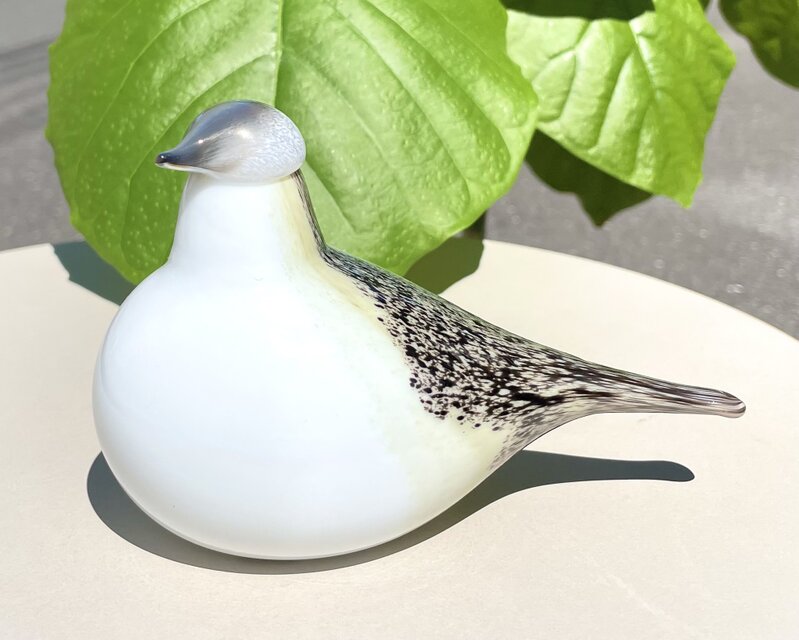 限定 Oiva Toikka オイバトイッカ Wagtail イッタラ 箱付き | iichi