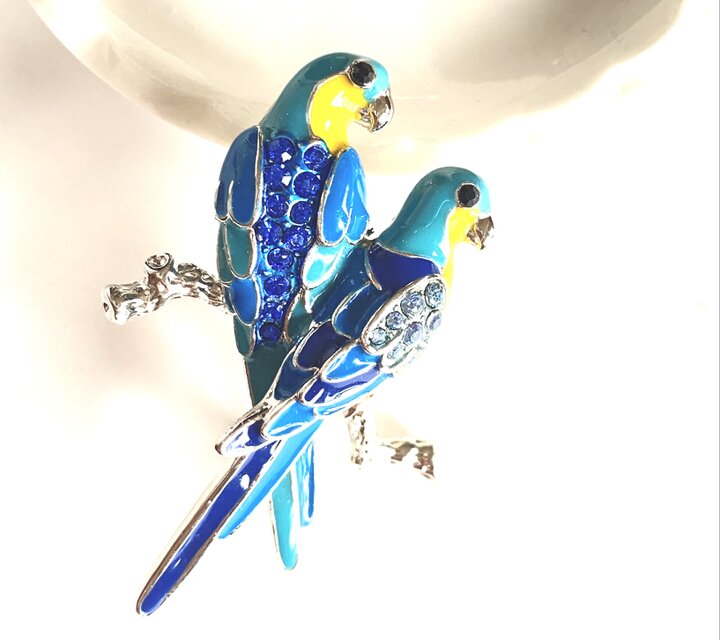稀少 ビンテージ ラインストーン 幸せの青い鳥 ブローチ】 | iichi
