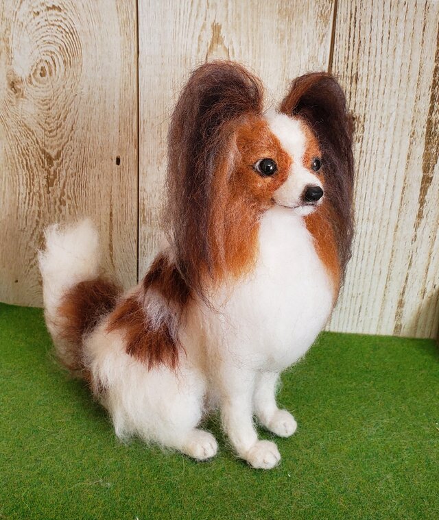 お座りパピヨン 羊毛フェルト | iichi 日々の暮らしを心地よくする