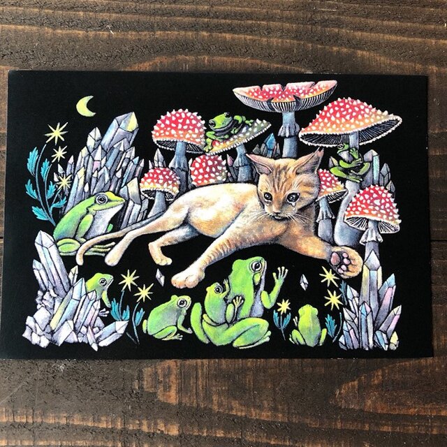 オリジナルポストカード3枚セット 「キノコシリーズ」☆キノコ 猫 星