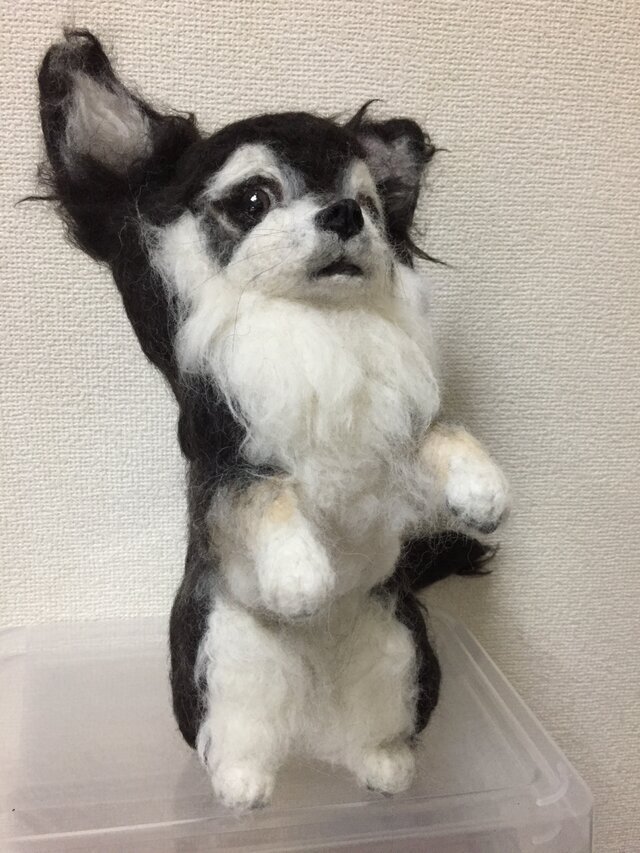 受注制作☆羊毛フェルトのチワワ | iichi 日々の暮らしを心地よくする