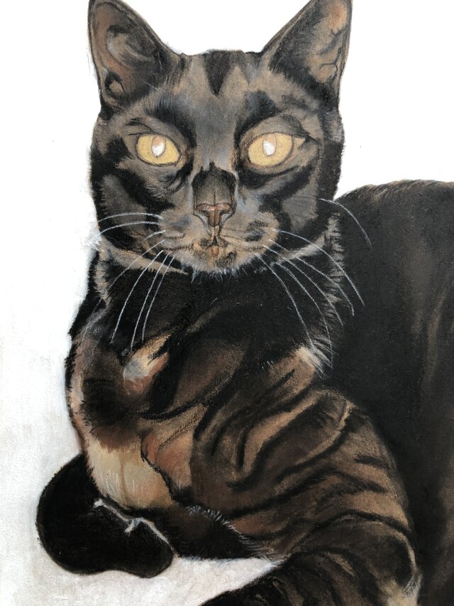 猫イラスト「ムサシ」原画 | iichi 日々の暮らしを心地よくする