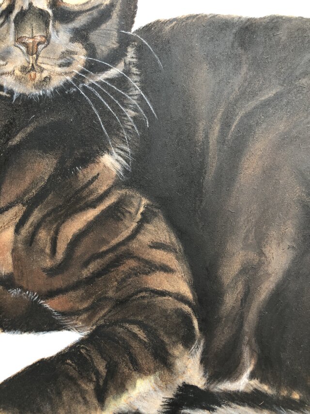 猫イラスト「ムサシ」原画 | iichi 日々の暮らしを心地よくする