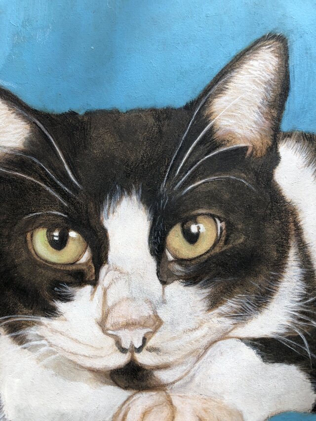 ✴️特別価格【原画】『夢幻界侵入者』（猫 犬 動物 絵画 パステル画