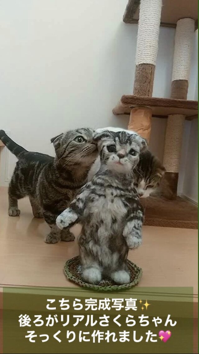 受注制作☆羊毛フェルトのマンチカン子猫 | iichi 日々の暮らしを