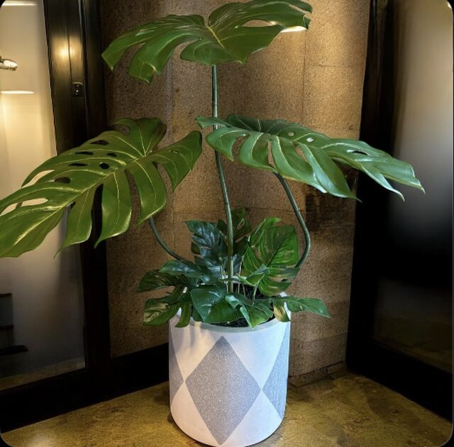 光触媒 人工観葉植物 ウォールグリーン フェイクグリーン バリ風特大