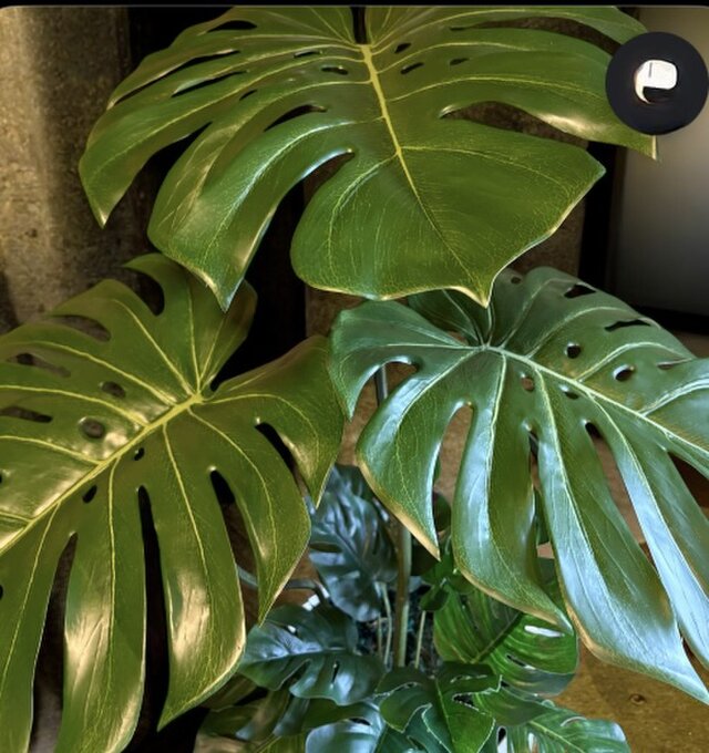 光触媒 人工観葉植物 ウォールグリーン フェイクグリーン バリ風特大