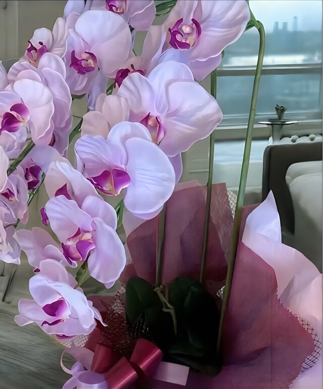 光触媒 人工観葉植物 ウォールグリーン フェイクグリーン 胡蝶蘭7845