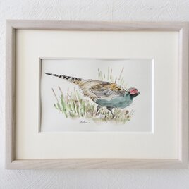 額付き水彩画「軍鶏」原画 | iichi 日々の暮らしを心地よくする