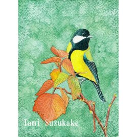 水彩・原画「静物画・柘榴（ざくろ）」 | iichi 日々の暮らしを