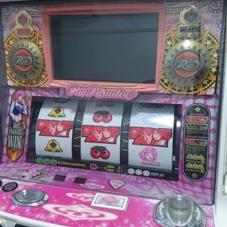 リオパラダイスの中古が安い！激安で譲ります・無料であげます｜ジモティー