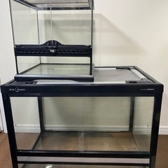 ワイルドプラネットの中古が安い！激安で譲ります・無料であげます