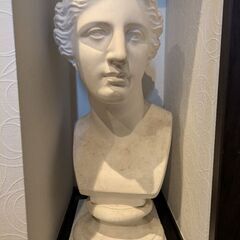 ミロのヴィーナス その他の中古が安い！激安で譲ります・無料で