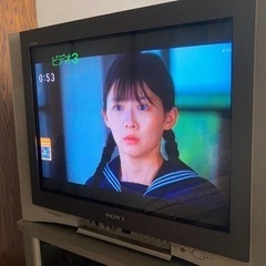 レア商品】SONY KV-25DA65 25型 フラット ブラウン管テレビ (たっし