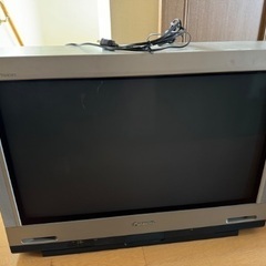 パナソニック ブラウン管テレビ TH-36FH10 (小金の錬金術師) 山名の