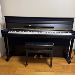 DUP 楽器の中古が安い！激安で譲ります・無料であげます｜ジモティー