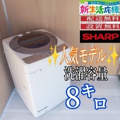 G141送料設置無料日立人気モデルドラム洗濯機 容量12㌔ (冷蔵庫 洗濯機