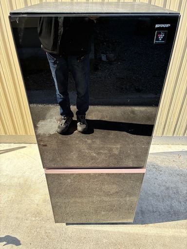 SHARP 冷蔵庫 137L 2018年製ブラック 一人暮らし用SJ-GD14D (みどり