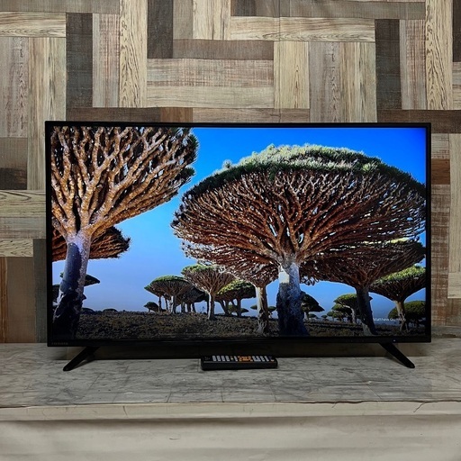 即日受渡❣️全国送料込アイオーデータ43型4K液晶モニター広視野角