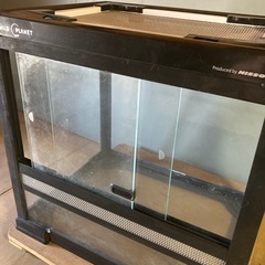 ワイルドプラネットの中古が安い！激安で譲ります・無料であげます