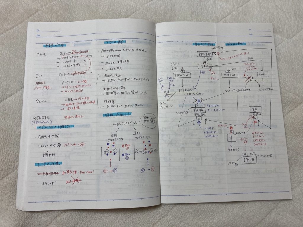 合格者体験記】薬剤師の国試対策！ 「なんでもノート」を使った勉強法