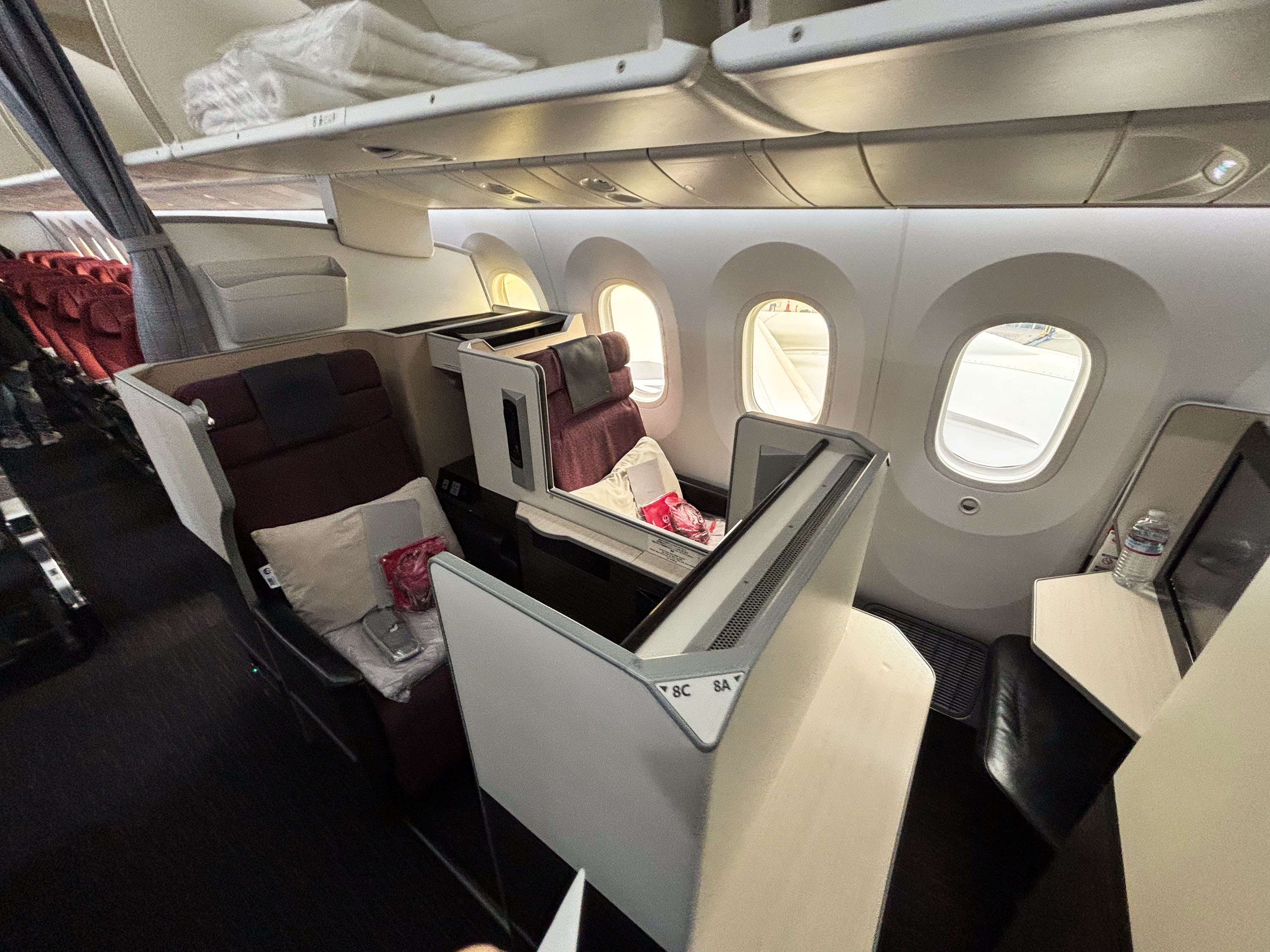 Review: Japan Airlines 787-8 Economy Class (LAX-NRT)