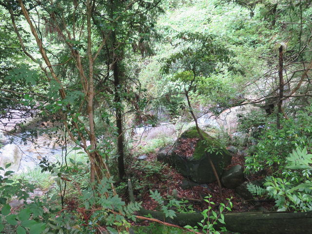 金山渓谷】アクセス・営業時間・料金情報 - じゃらんnet