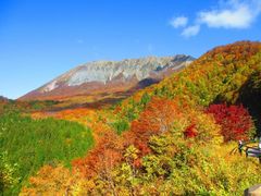 奥大山 鍵掛峠の紅葉周辺の観光スポットランキング - じゃらんnet