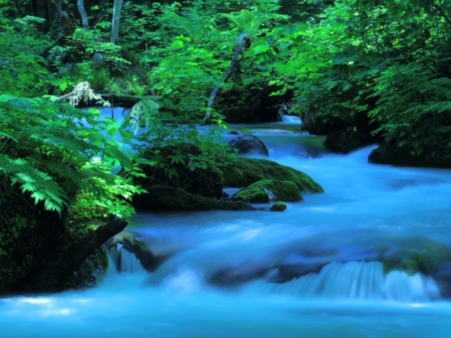 奥入瀬渓流】アクセス・営業時間・料金情報 - じゃらんnet