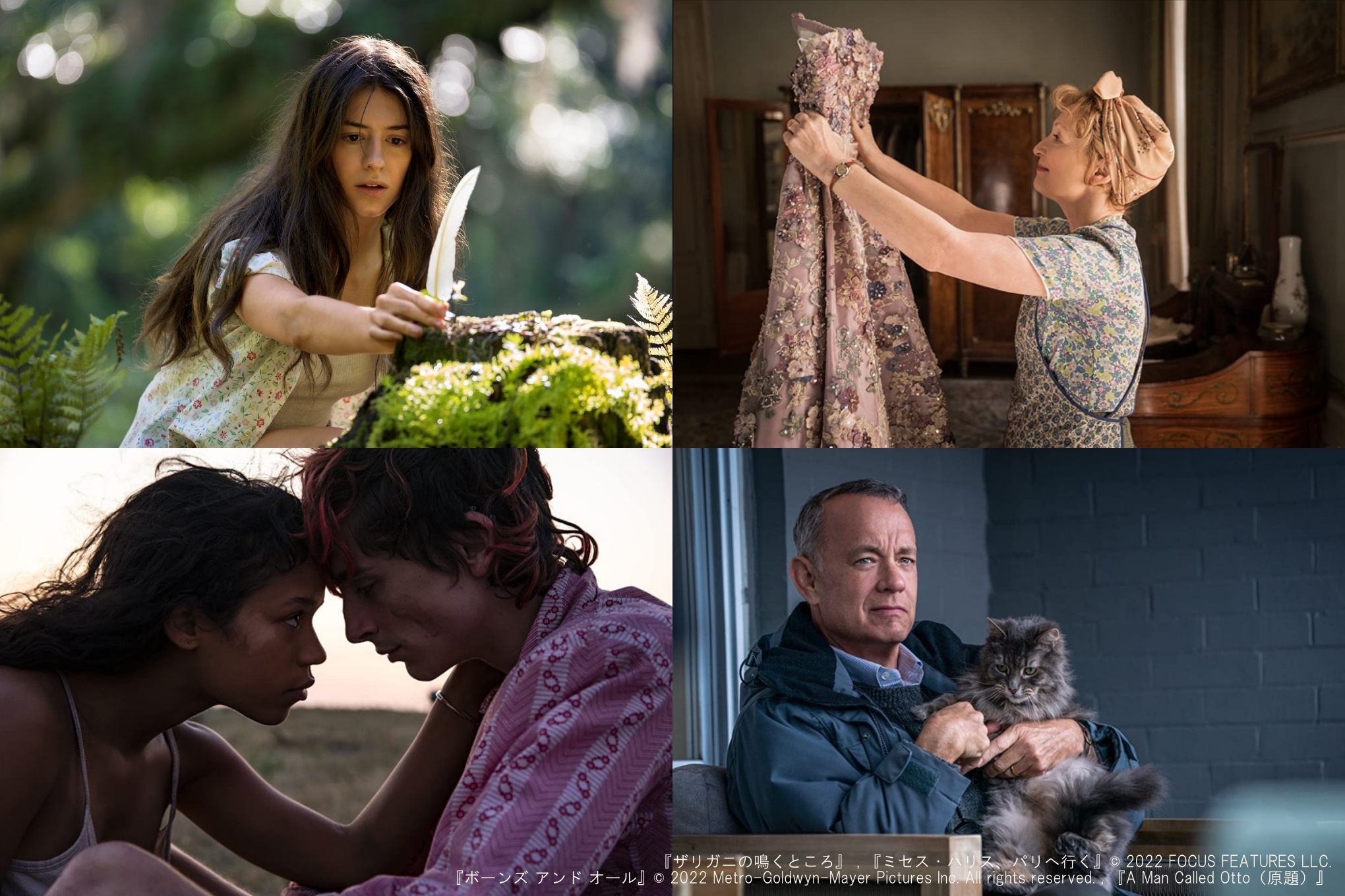 第22回：2022年 − ハリウッドで映画化された話題の洋書4選 - 2ページ