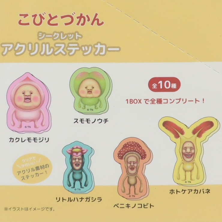こびとづかん ステッカー シークレットアクリルステッカー[品番
