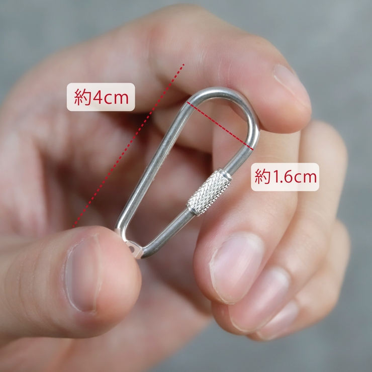 カラビナ キーホルダー シルバー925[品番：PENA0036575]｜アクセサリー
