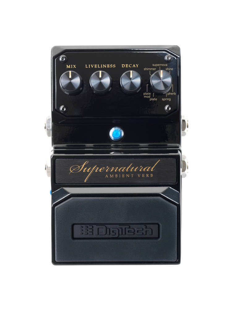 Digitech Ambient Reverb Pedal | Long & McQuade