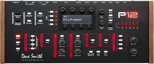 Dave Smith Instruments Prophet 12 Desktop Synthesizer Module