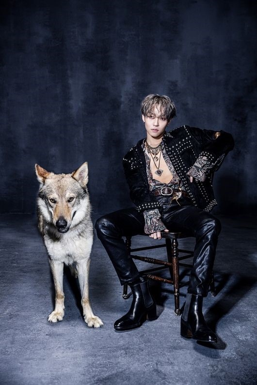 The Rose ウソン、ミニアルバム「WOLF」でソロデビュー“目標はグラミー