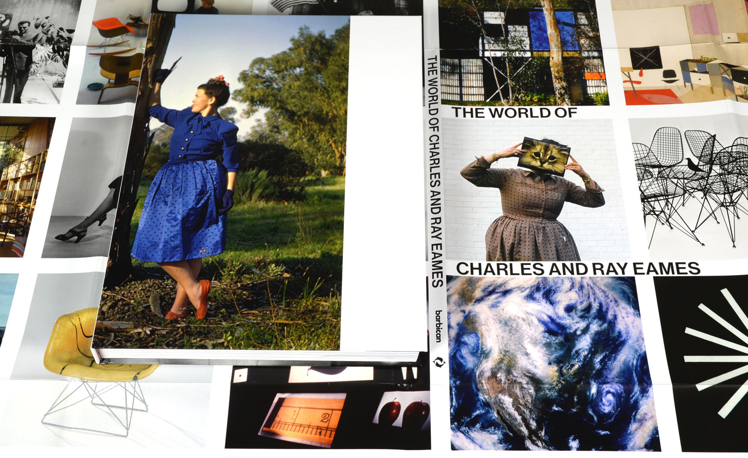 The World of Charles and Ray Eames in a book accompanying the