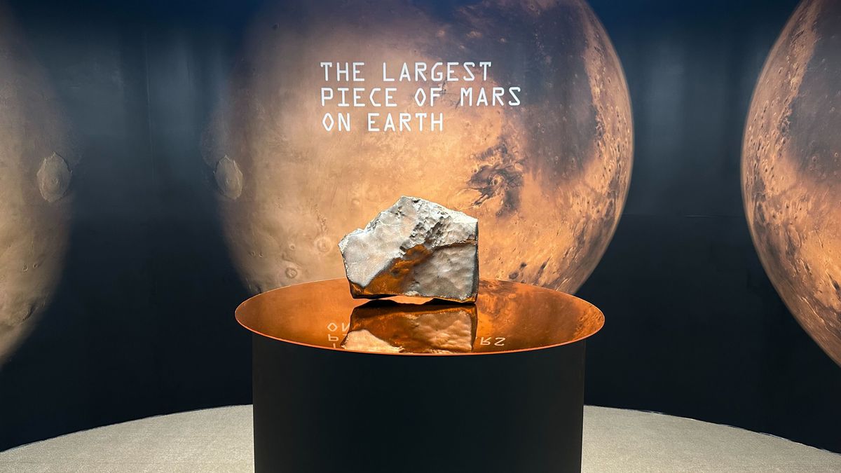 The largest Mars rock on Earth is up for auction in NYC — it could