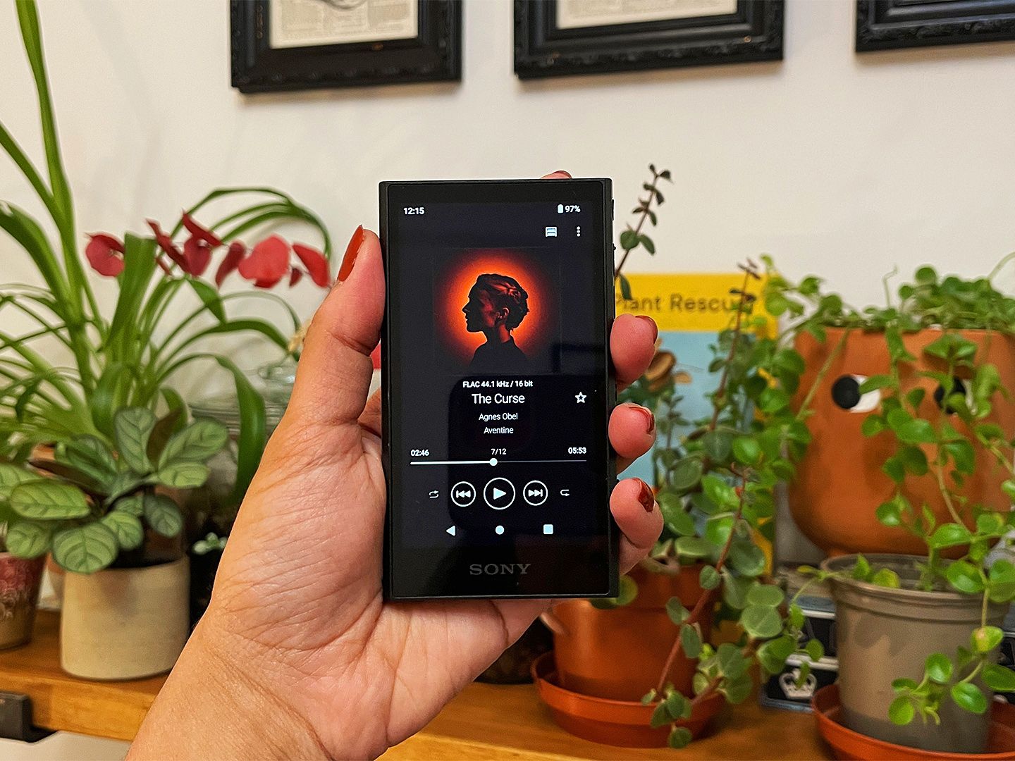 ソニーWALKMAN nw-A306 【公式通販】