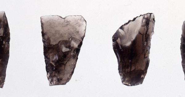 外洋にこぎ出し黒曜石を徹底探索 鮮明になってきた旧石器時代の日本の