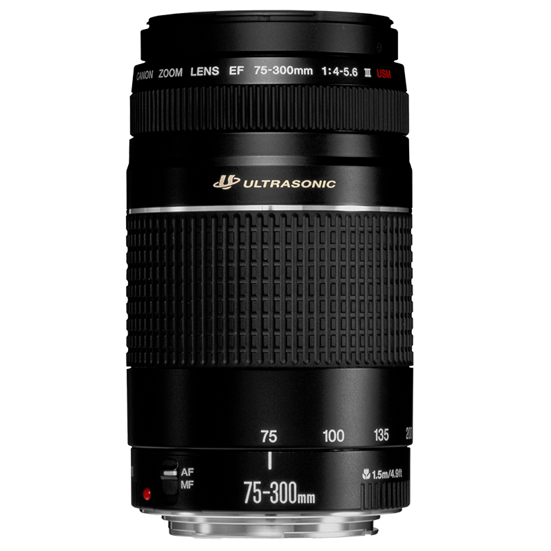 Canon EF 75-300mm f/4-5.6 III USM - Lenses - Camera & Photo lenses
