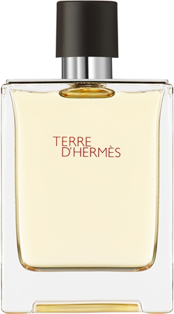 HERMÈS Terre d'Hermès Eau de Toilette für Herren